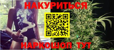 шишки Лесосибирск