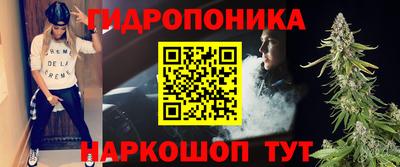 шишки Лесосибирск
